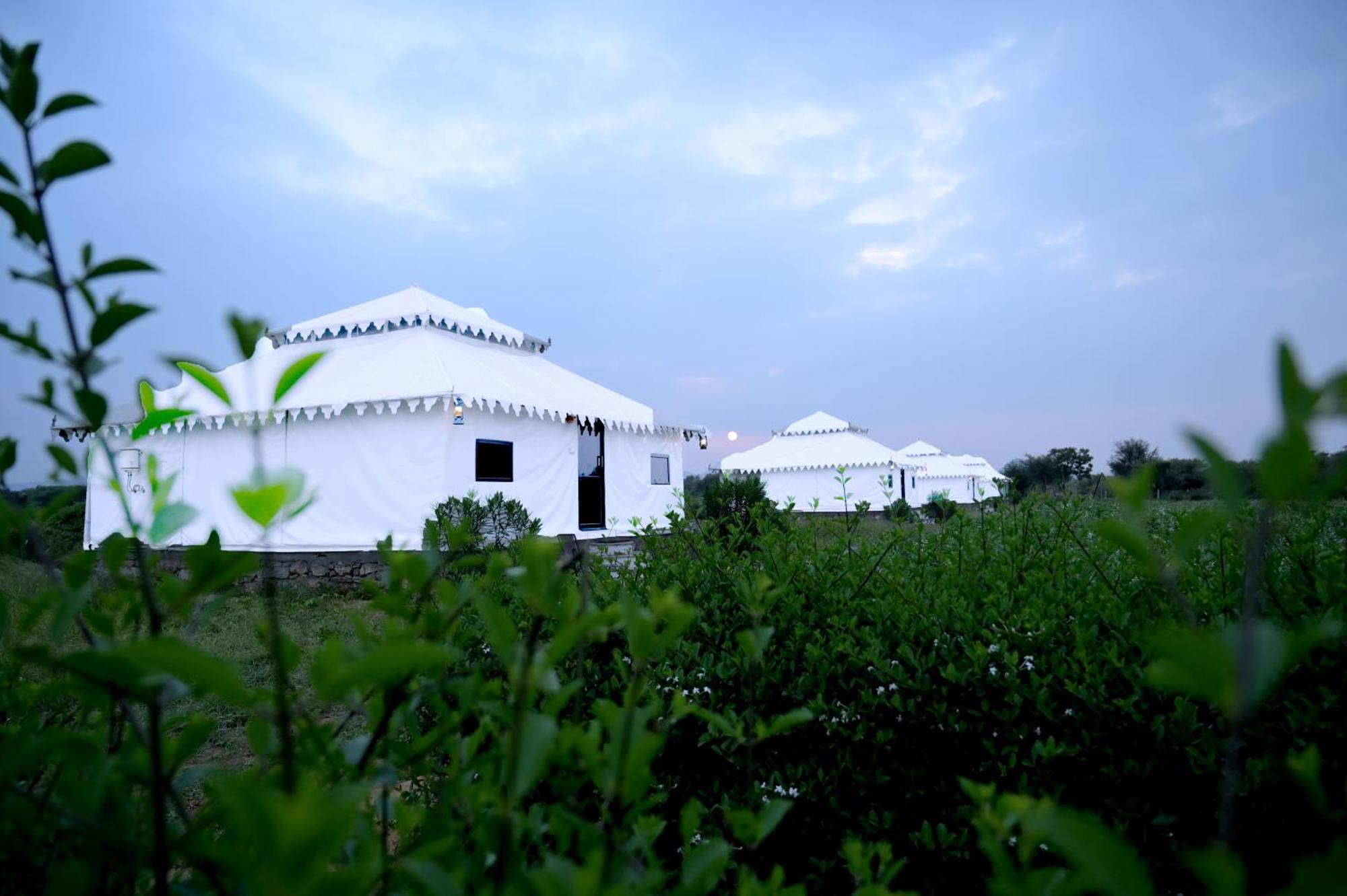 The Bagheera Bagh Jawai Hotel Bera Exterior foto